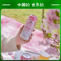 青岛啤酒白啤11度500*3*4牛卡纸罐啤（樱花版）