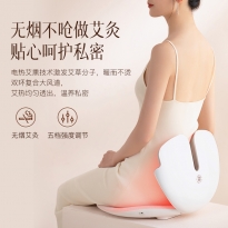 智能靠背温座仪